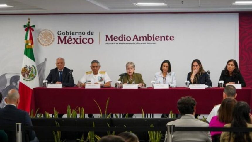 Identifican fuentes de hidrocarburos en costas de Veracruz y Tabasco