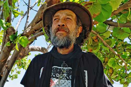 Veleros internacionales entregan ayuda humanitaria a Cuba