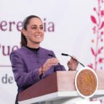 Sheinbaum anuncia plan para soberanía y transición energética