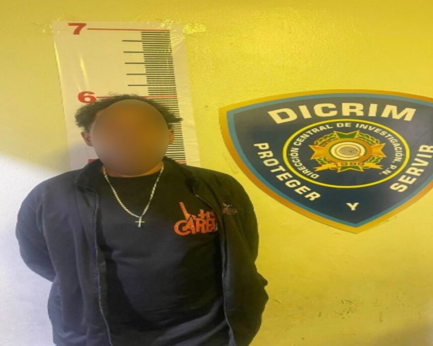 Detienen en Moca a vigilante por robo de pollo en granja de La Vega