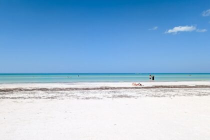 Guía para visitar Isla Holbox con niños: actividades y consejos
