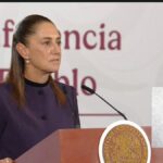 Sheinbaum propone aplazar elección judicial a 2028 y simplificar boletas
