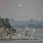 Conagua reencauza ríos al Lago de Texcoco para evitar inundaciones
