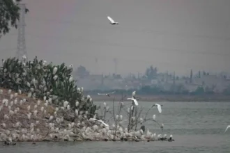 Conagua reencauza ríos al Lago de Texcoco para evitar inundaciones