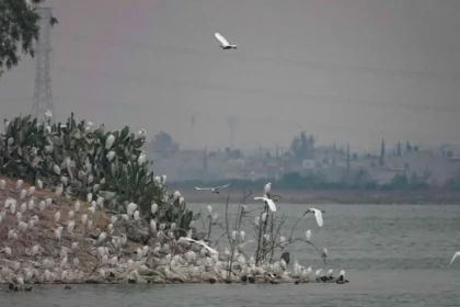 Conagua reencauza ríos al Lago de Texcoco para evitar inundaciones