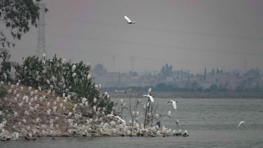 Conagua reencauza ríos al Lago de Texcoco para evitar inundaciones