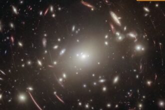 James Webb halla estrellas con agujeros negros en el universo temprano