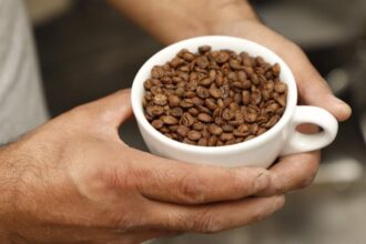 Chiapas declara 24 de noviembre Día del Café Chiapaneco