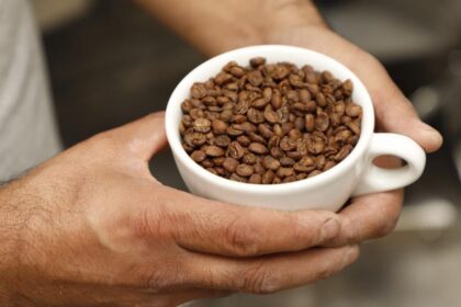 Chiapas declara 24 de noviembre Día del Café Chiapaneco