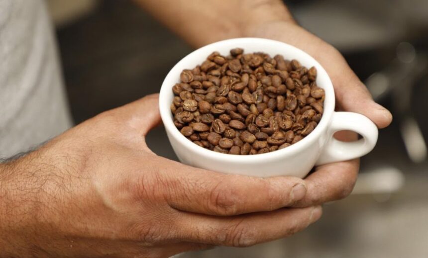 Chiapas declara 24 de noviembre Día del Café Chiapaneco