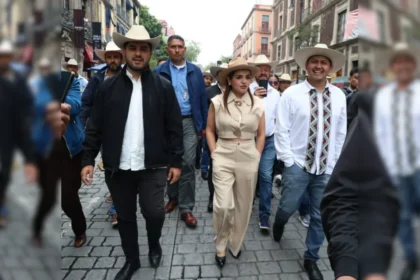 Grecia Quiroz pide a la SCJN revertir límites a independientes
