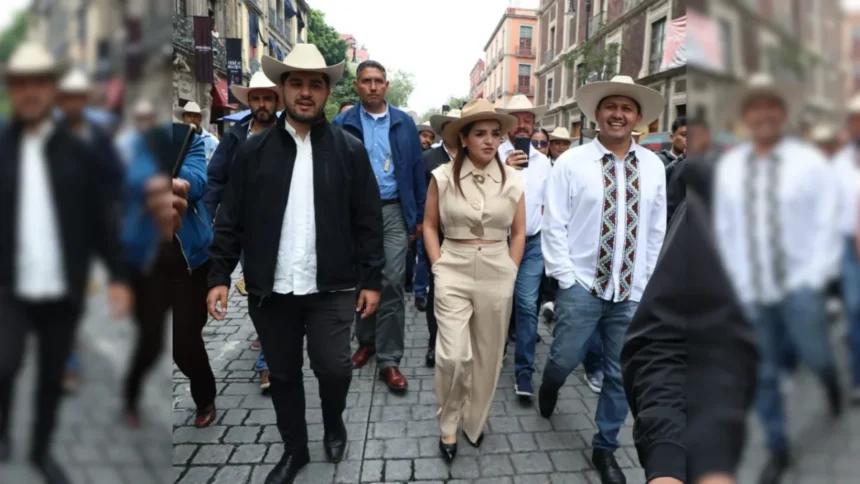 Grecia Quiroz pide a la SCJN revertir límites a independientes
