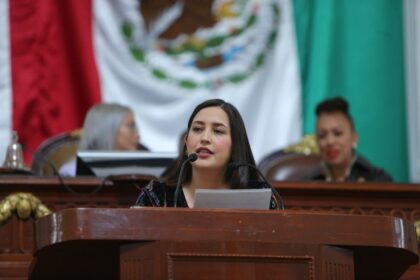 Diputada propone Ley Emilio para seguros médicos incluyentes